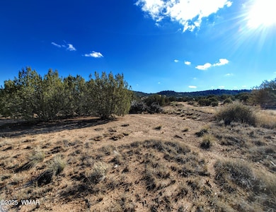 Parcel 3 W Shumway Rd, Taylor, AZ 85901 - photo 7