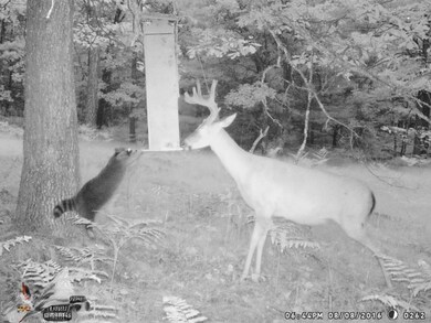 VL Par 11 W 8th St, Baldwin, MI 49304 - photo 2