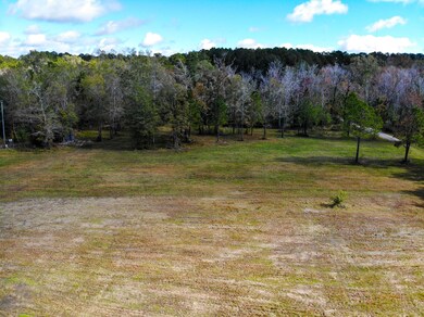 1 Woodville Rd, Mount Pleasant, SC 29429 - photo 5