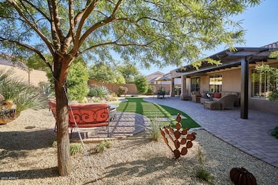 Backyard2