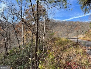 LOT 19 the Highlands at Hightower Ridge, Hiawassee, GA 30546 - photo 6