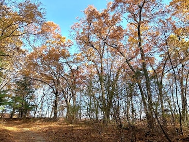VL 0 Burroughs Flat River Hillside
