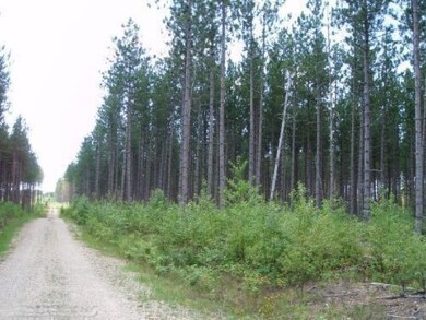 0 Harlan Rd unit 13009110, Copemish, MI 49625 - photo 6