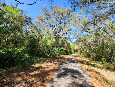 TBD Guava Terrace, Ocklawaha, FL 32179 - photo 4