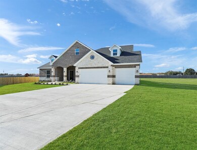 10102 Clydesdale Dr, Needville, TX 77461 - photo 4