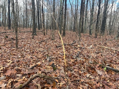 0 E Highway 14 Private Dr unit D, Ava, MO 65608 - photo 7