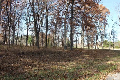 000 Birdie Dr, Mount Vernon, IL 62864 - photo 5