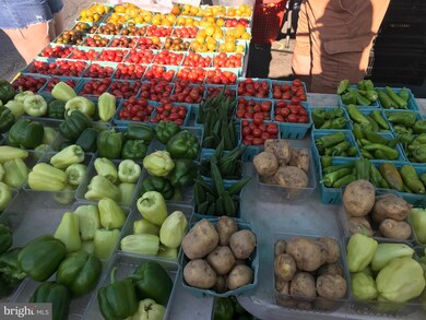 11478 Heritage Commons Way, Reston, VA 20194 - photo 4