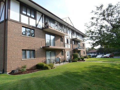 11045 S Theresa Cir unit 2A, Palos Hills, IL 60465 - photo 2