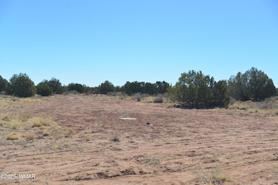 5371 Valley Rd, Snowflake, AZ 85937 - photo 7