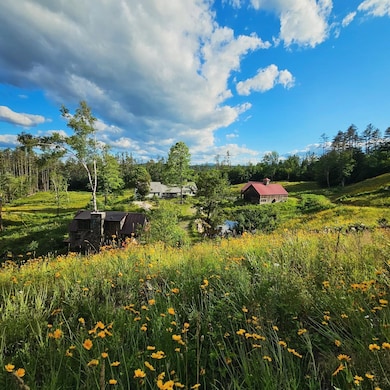 4669 Vermont Route 100, Londonderry, VT 05148 - photo 3