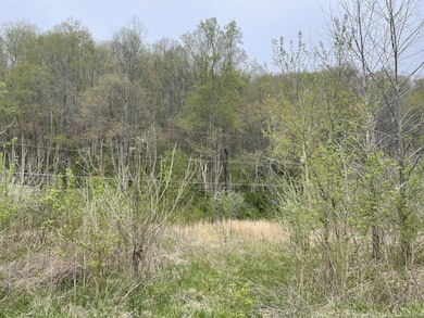 16 Logan Rd, Page, WV 25119 - photo 5