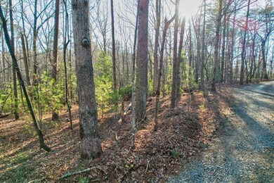 19.44 Mt McGurder Rd, Ellijay, GA 30536 - photo 4