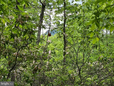 Lot 69 Helmick Rock Run, Lost River, WV 26812 - photo 7