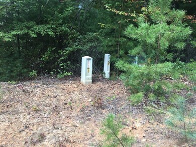 0 Pepper Bush Rd unit 919357, Purlear, NC 28665 - photo 7