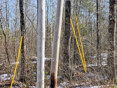 0 Sabattus Trail Rd unit 1617555, Lovell, ME 04051 - photo 4