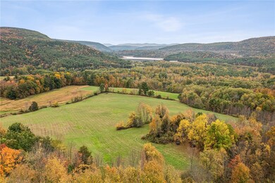 171 W Kill Rd, Jefferson, NY 12093 - photo 3