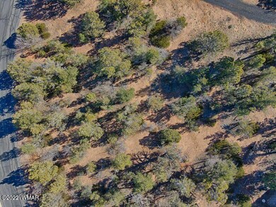 Aerial 3