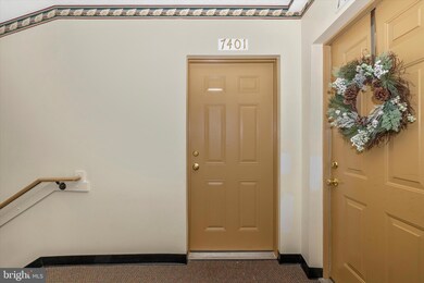 6505 Springwater Ct unit 7401, Frederick, MD 21701 - photo 4