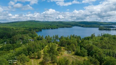 0 Little Sunapee Rd, New London, NH 03257 - photo 5