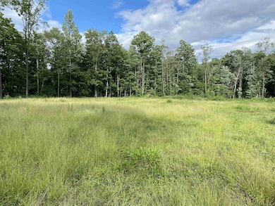 23247 N Preston Hwy, Bruceton Mills, WV 26525 - photo 7