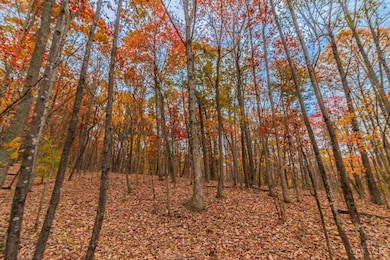 1186 Tulip Rd, Lynx, OH 45650 - photo 4