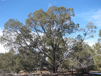 0 Lucky Ln unit 991210, Ash Fork, AZ 86320 - photo 2