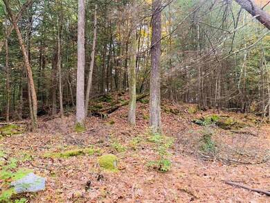 0 Meany Rd unit 4887098, Charlestown, NH 03603 - photo 6