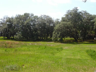 2 drive way to camp site