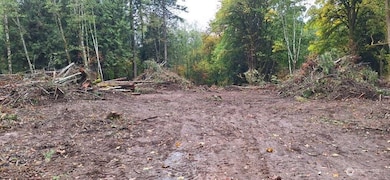 210 Vermillion Rd, Chehalis, WA 98532 - photo 3