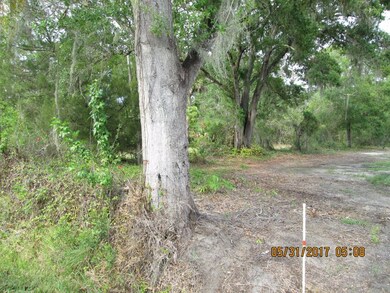 Side of lot on Oklahoma