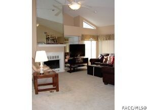 Vaulted Great Room
