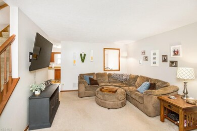 9605 Grist Mill Run, Olmsted Falls, OH 44138 - photo 6