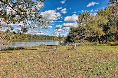 109 Broad Bluff Point, Irmo, SC 29063 - photo 3