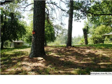 Land in front of house