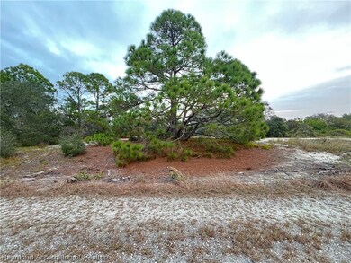 605 Avalon Ln, Lake Placid, FL 33852 - photo 2