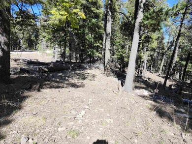 180 Big Dipper Rd unit 19, Cloudcroft, NM 88317 - photo 3