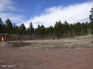 Lot 1 The Ranch at Alpine (1)