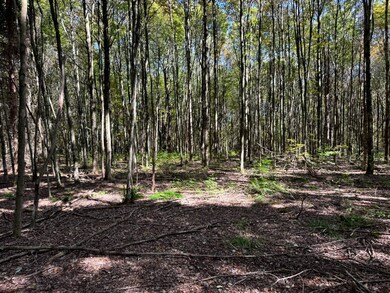 1.5 Graham Rd unit 5, Smyrna, NY 13464 - photo 5