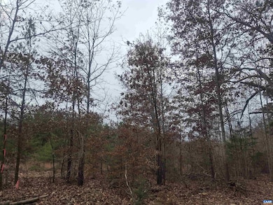 0 Indian Pipe Run, Palmyra, VA 22963 - photo 4