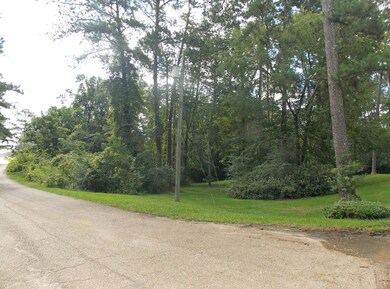000 White St, McComb, MS 39648 - photo 3