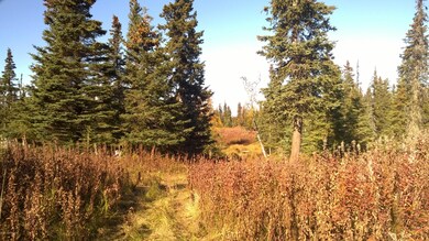 LOOKING FROM SOUTH TO NORTH