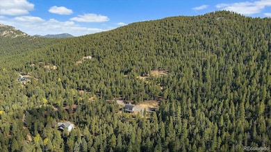 33884 Bergen View Trail unit 197153, Evergreen, CO 80439 - photo 4