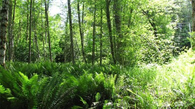 3344 Anderson Hill Rd SW, Port Orchard, WA 98367 - photo 6