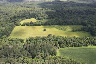 0 Attala Road 4110 unit 24269942, Sallis, MS 39160 - photo 2