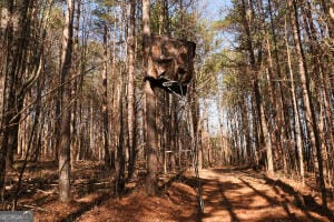 0 Puddin Ridge Rd, Flat Rock, AL 35966 - photo 4