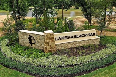 8213 Chai Ct, Magnolia, TX 77354 - photo 4