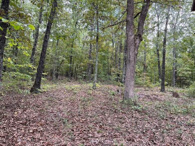 Land for Sale in Fulton County6