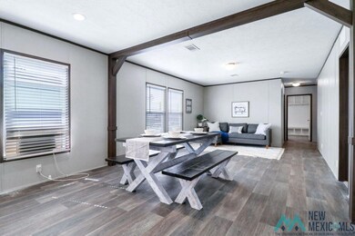 1008 Butternut St, Carlsbad, NM 88220 - photo 6