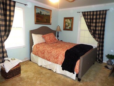 106 W Peach St, Fredericksburg, TX 78624 - photo 3